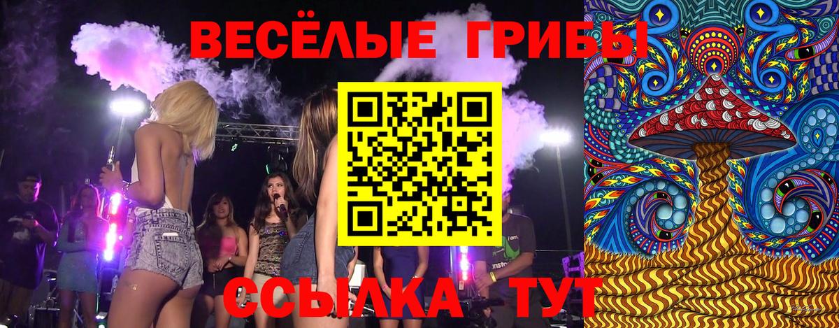 Псилоцибиновые грибы MAGIC MUSHROOMS  Вход с VPN  даркнет сайт  Новый Уренгой 